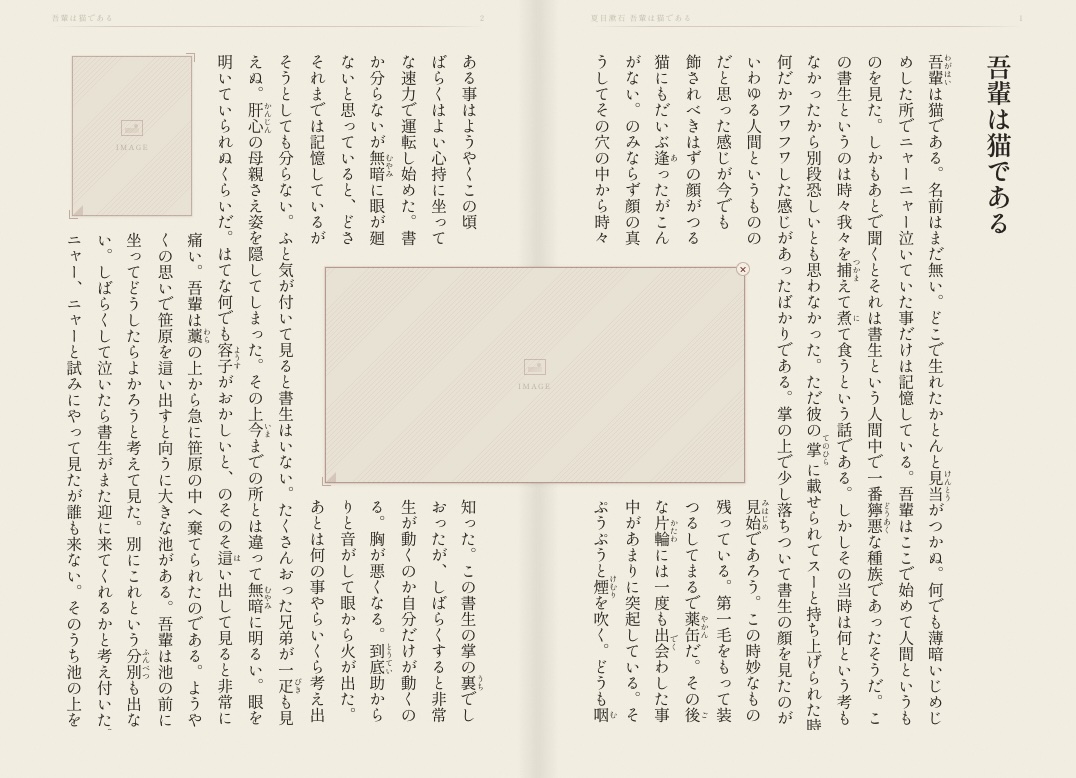 A large image in the center of the page. Text splits above and below it.